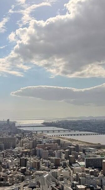 不卡日韩av片-探索网络内容选择的自由与责任
