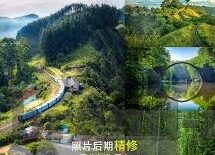 大象永久2021@视频-探索大象的智慧与力量，2021年大象永久@视频的震撼瞬间